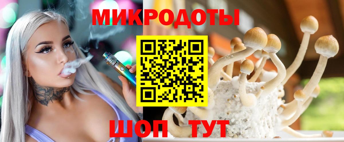 Заводоуковск  Галлюциногенные грибы MAGIC MUSHROOMS  Вход с VPN  где купить наркотик  Псилоцибиновые грибы GOLDEN TEACHER 